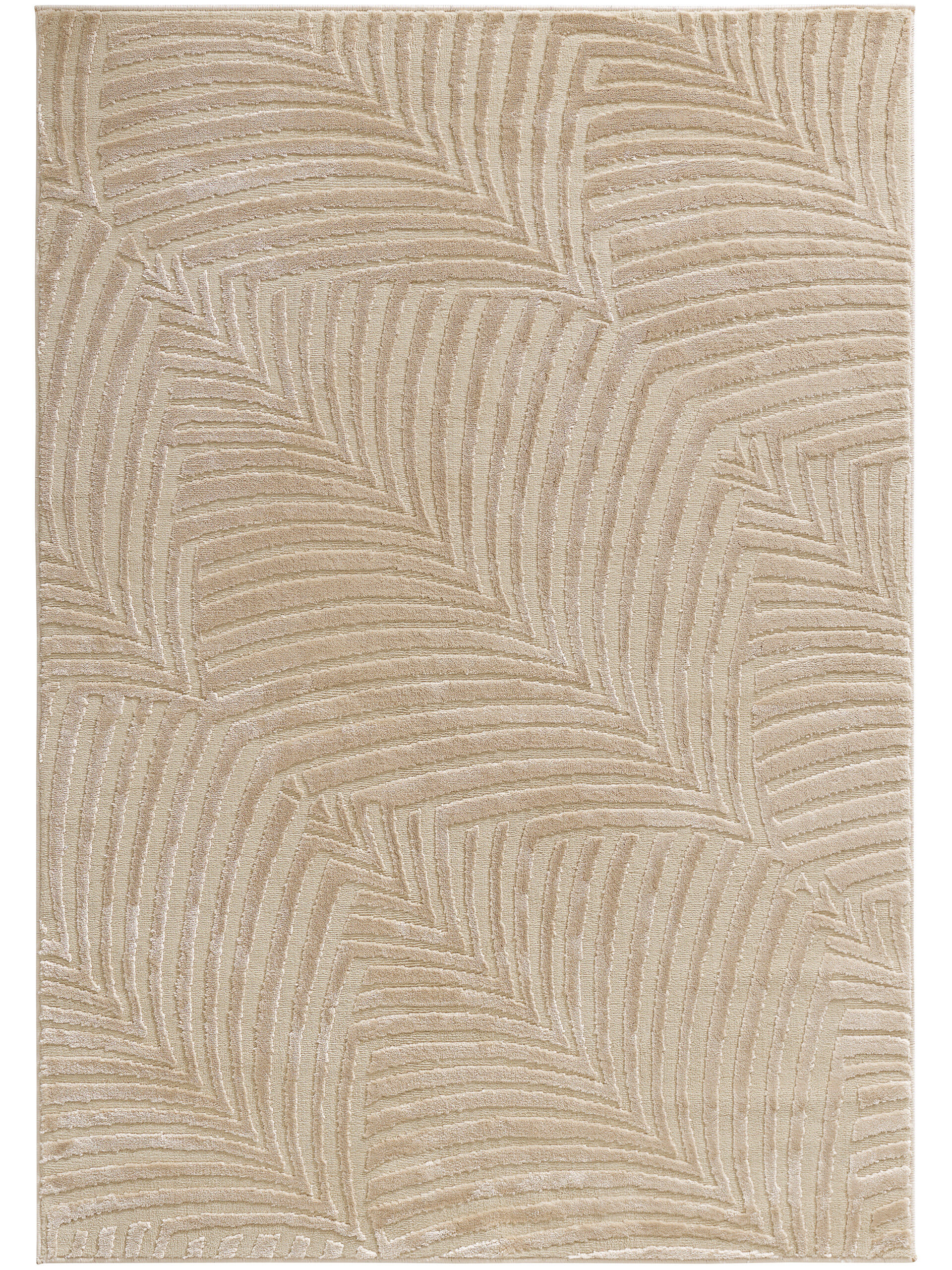 Teppich Trend 1800 Beige Teppich Trend 1800 Beige